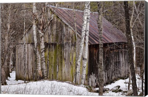 Framed Sharon Barn Print