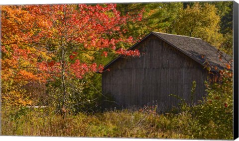 Framed Taste of Vermont Print