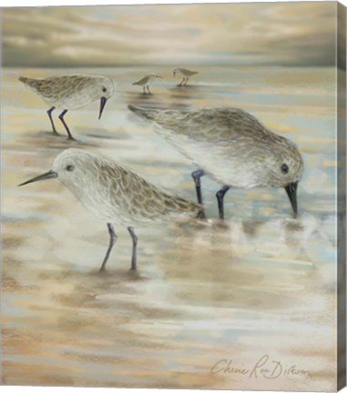 Framed Sandpipers Print