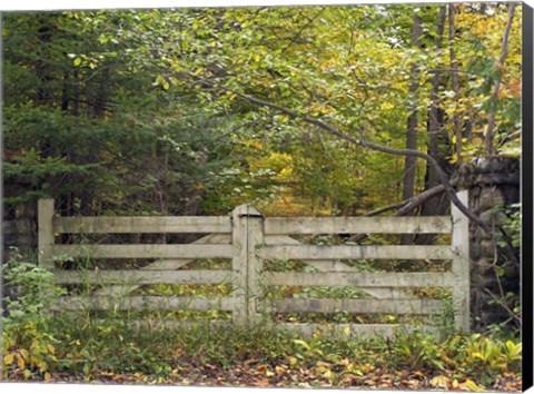 Framed Gate And Country Path Print