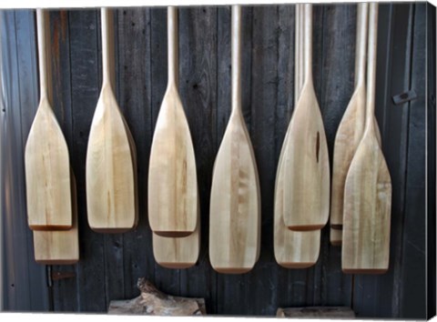 Framed Canoe Paddles Print