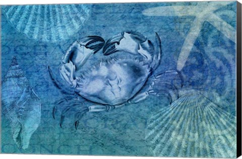 Framed Blue Ocean Crab Print
