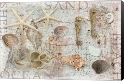 Framed Beach Finds Print