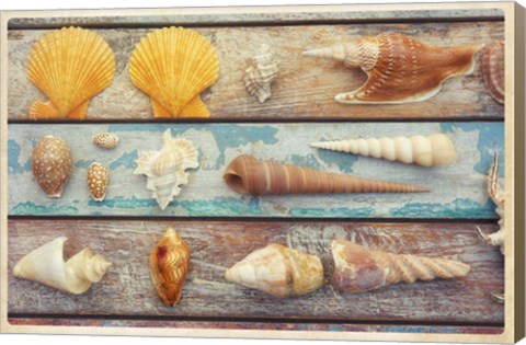 Framed Beach Memories II Print