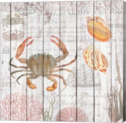 Framed Crabs on Driftwood Panel Print