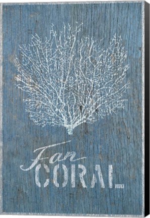 Framed Fan Coral on Blue Print