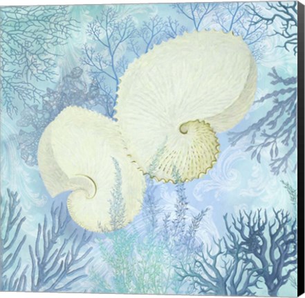 Framed Marine Love Paper Shells Print