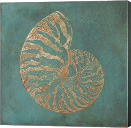 Framed Nautilus Shell Gold on Turquois Print