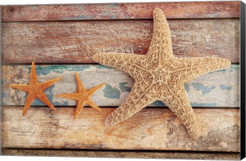 Framed Seaside Memories I Print