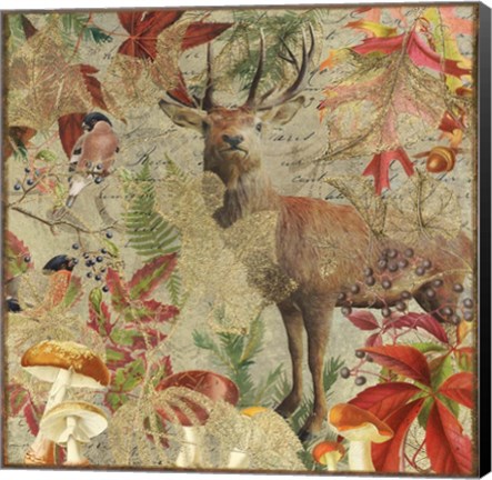 Framed Autumn Deer Print