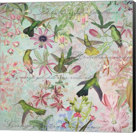 Framed Hummingbird Arabesques Print