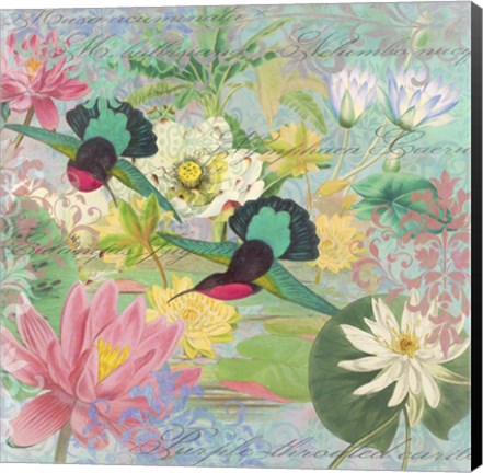 Framed Nyphea Arabesques Print