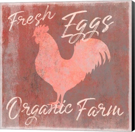 Framed Organic Farm Rooster Print