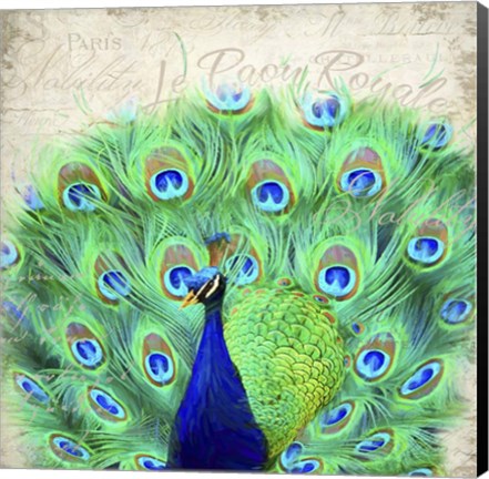 Framed Royal Peacock Print