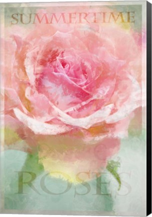 Framed Summertime Roses II Print