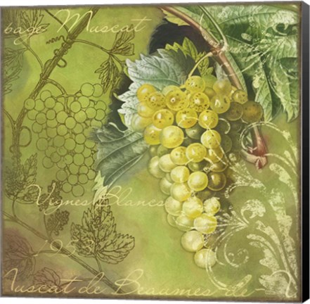 Framed White Vines Muscat Print