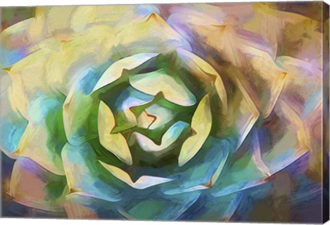 Framed Agave Forms I Print