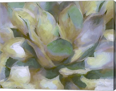 Framed Agave Forms II Print