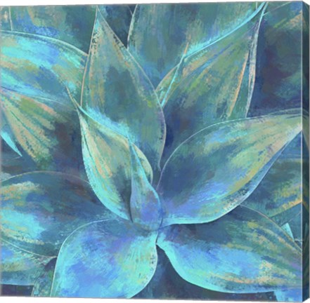 Framed Agave Forms III Print