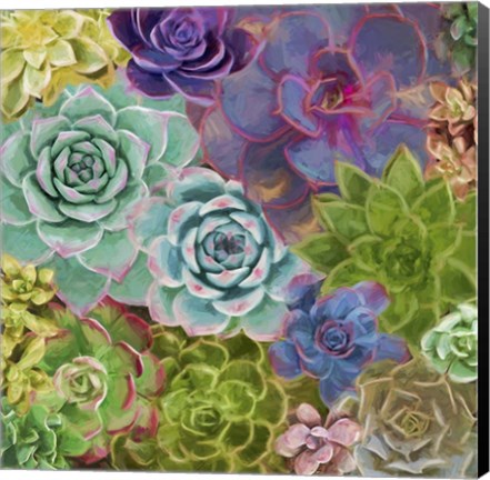 Framed Little Succulent Garden Print