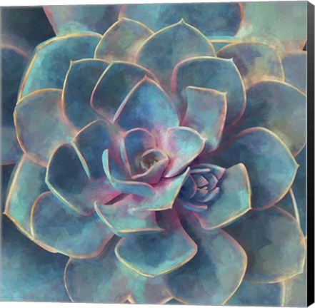 Framed Succulent Beauty I Print