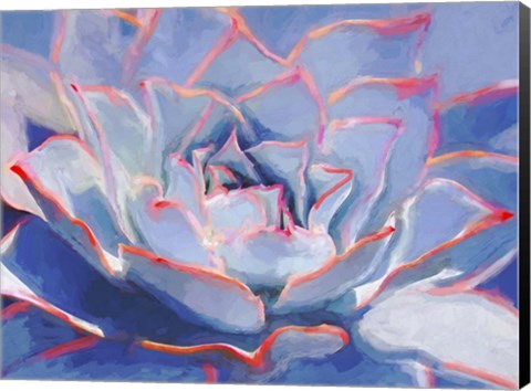 Framed Succulent Beauty III Print