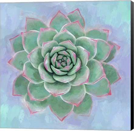 Framed Succulent Painting Print
