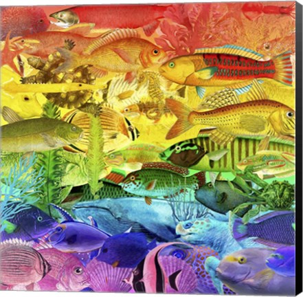 Framed Rainbow Fish Print