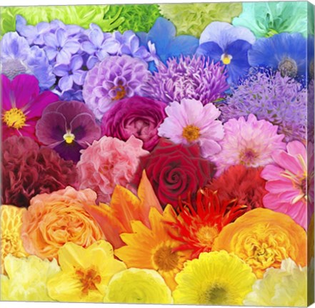 Framed Rainbow Flowers Print