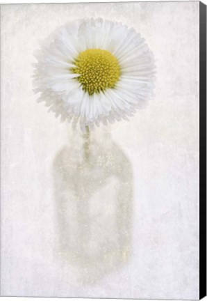 Framed Daisy in Little Bottle Print
