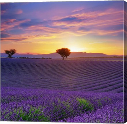 Framed Lavender Sky Sunset Print