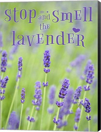 Framed Smell the Lavender Print