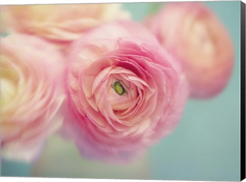 Framed Sweet Buttercups Print