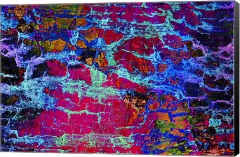 Framed Colorful Bark 4 Print
