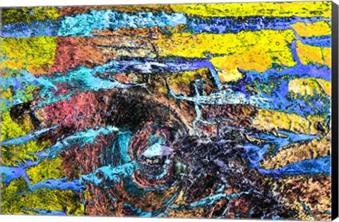 Framed Colorful Bark 11 Print