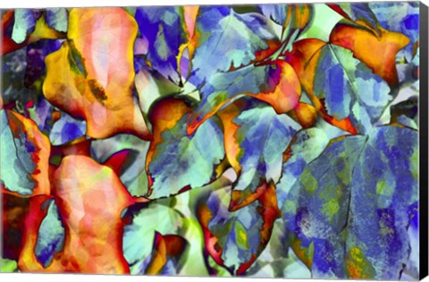 Framed Colorful Foliage 5 Print