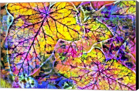 Framed Rainbow Colors 2 Print