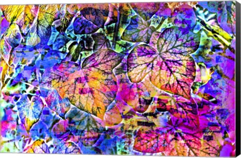 Framed Rainbow Colors 14 Print
