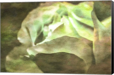 Framed Roses on Canvas 21 Print
