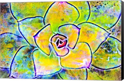 Framed Succulent Dressed in Rainbow Colors 4 Print