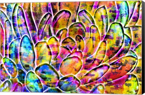 Framed Succulent Dressed in Rainbow Colors 11 Print