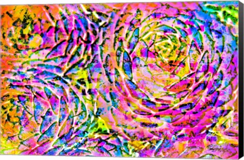 Framed Succulent Dressed in Rainbow Colors 14 Print