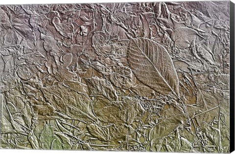 Framed Leaves in Pastel Colors 6 Print