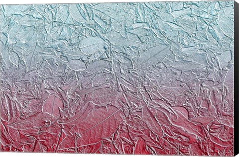 Framed Leaves in Pastel Colors 14 Print