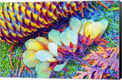 Framed Nature in Rainbow Colors 1 Print