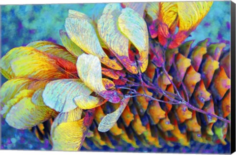 Framed Nature in Rainbow Colors 8 Print