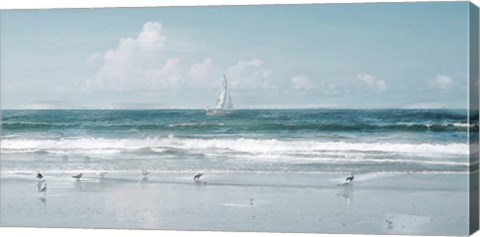 Framed Shore Birds and a Sailboat Print