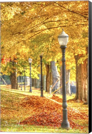 Framed Lamp Post And Leaves Print