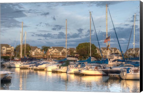 Framed Morning At The Marina Print