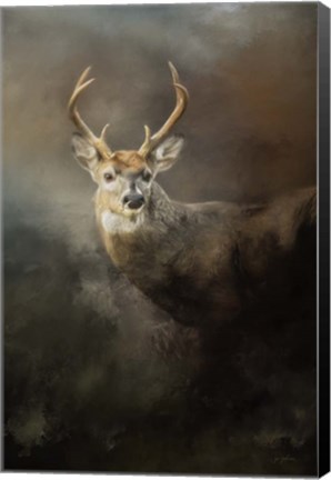 Framed Buck In The Moonlight Print